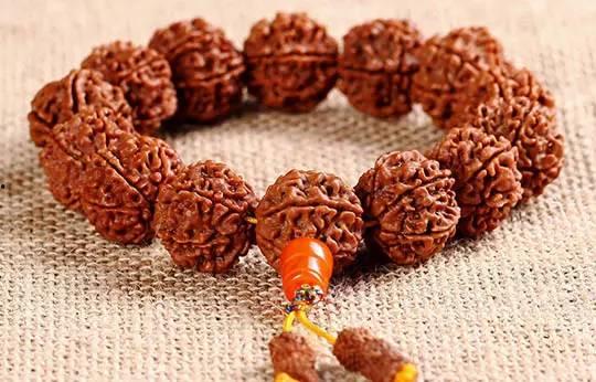 金刚菩提子视频,探寻千年古树籽的神秘魅力