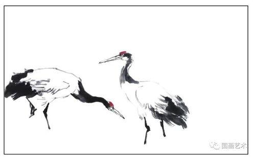 仙鹤国画视频,笔触下的灵动与优雅