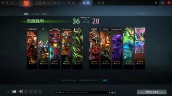 dota视频网站,精彩瞬间与战术解析大盘点