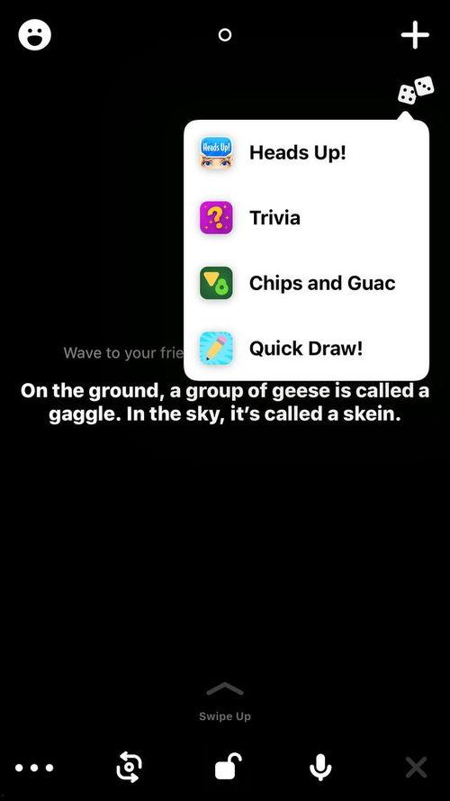 美国视频聊天网站